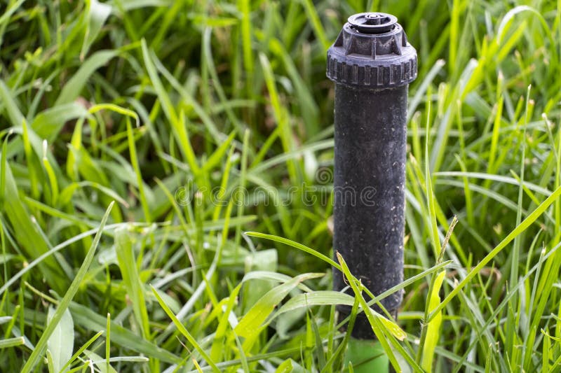Sprinkler head in green grass covering San Marcos and Hays County